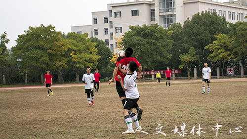 奋战球场 永不言弃 人文憾负数信